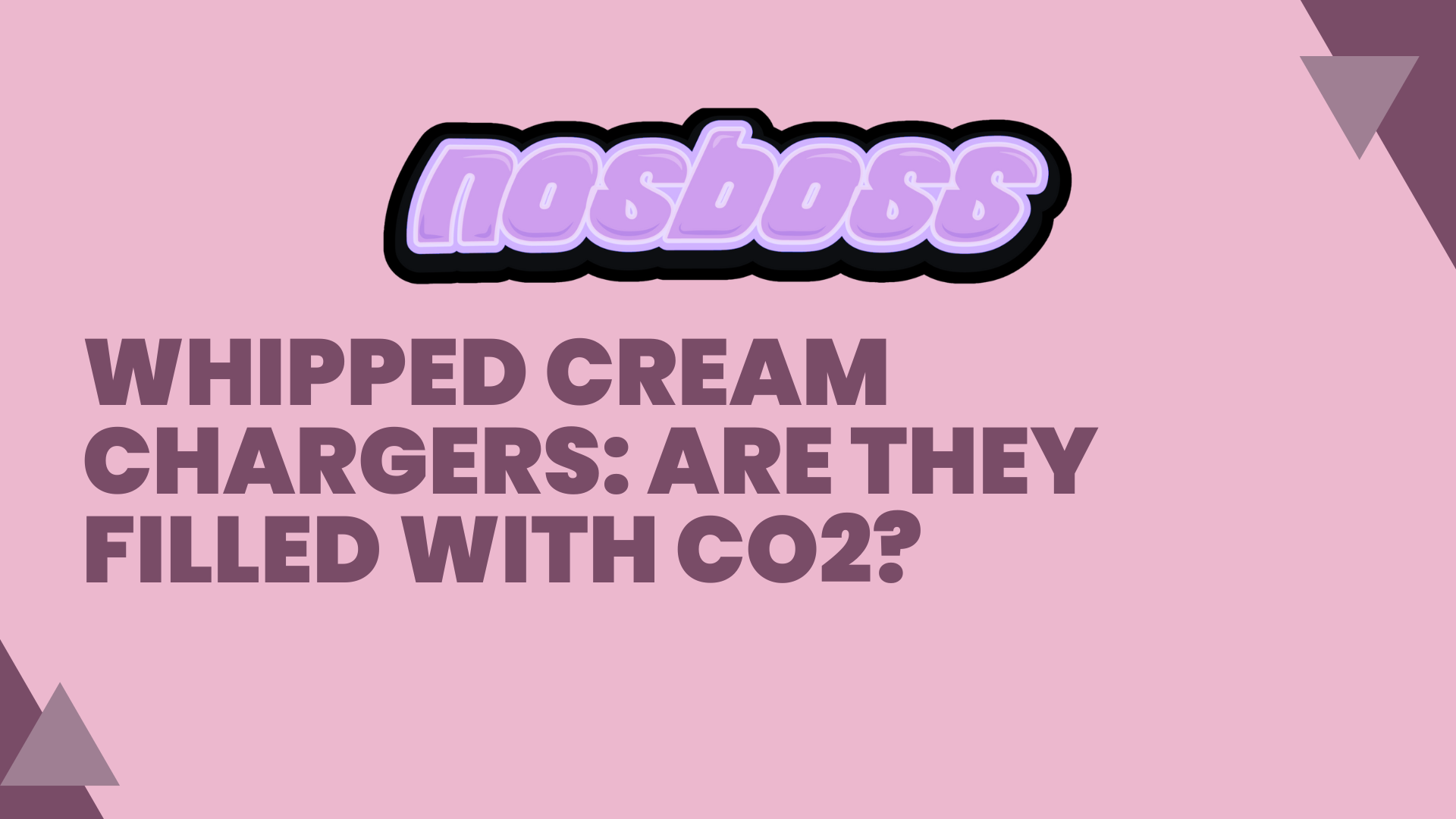 Whipped Cream Chargers: Are They Filled with CO2?